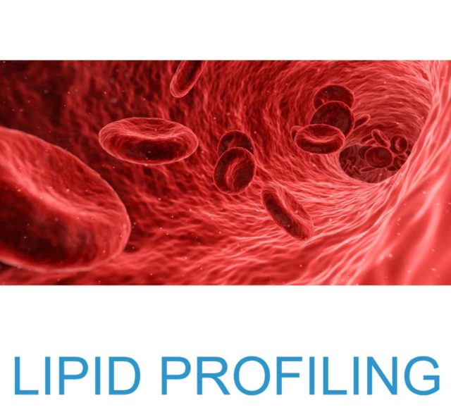 services lipipd profiling title